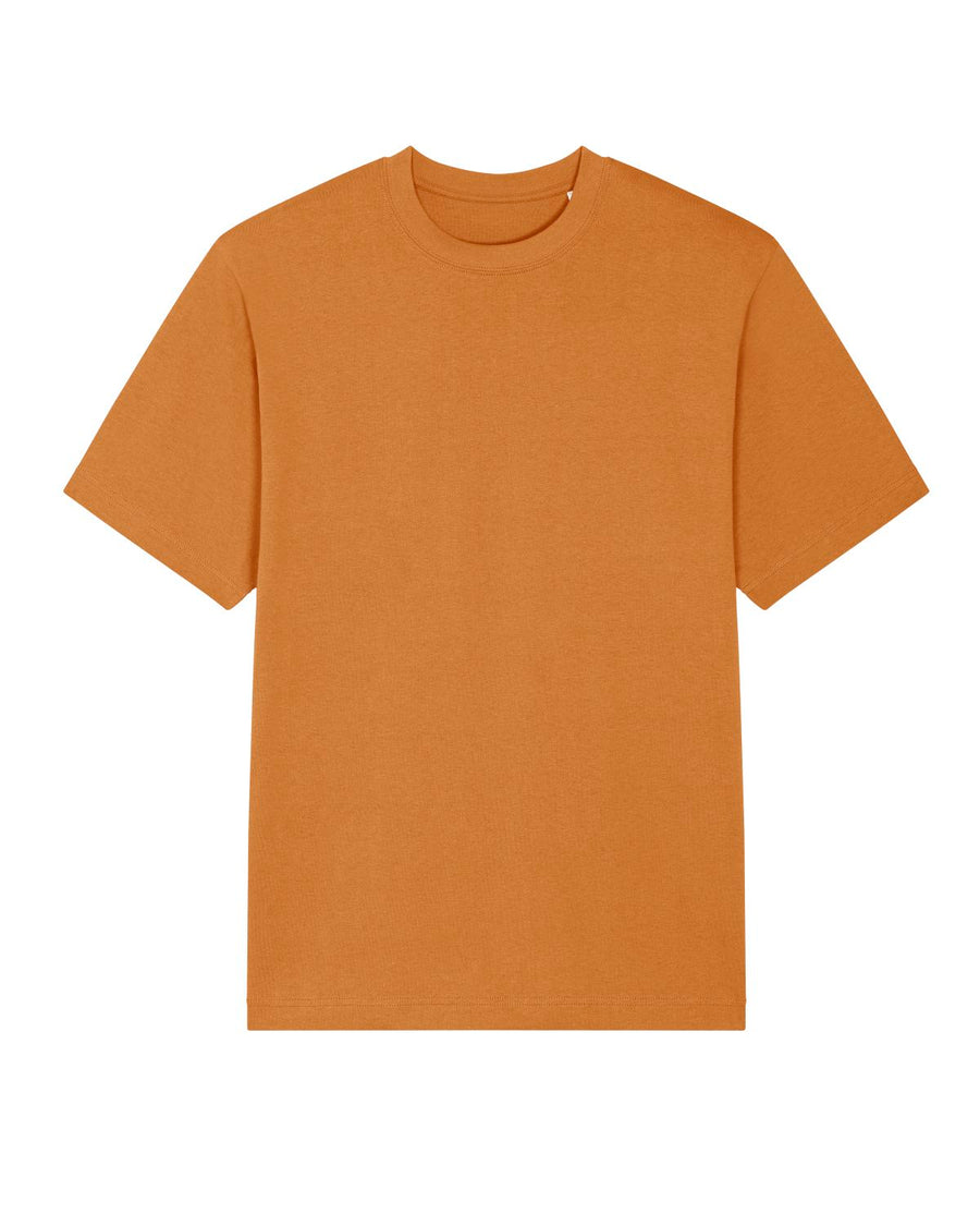 The STTU788 Stanley/Stella Freestyler Day Fall (C087) is a plain brown unisex heavyweight T-shirt made from organic cotton, shown on a white background.